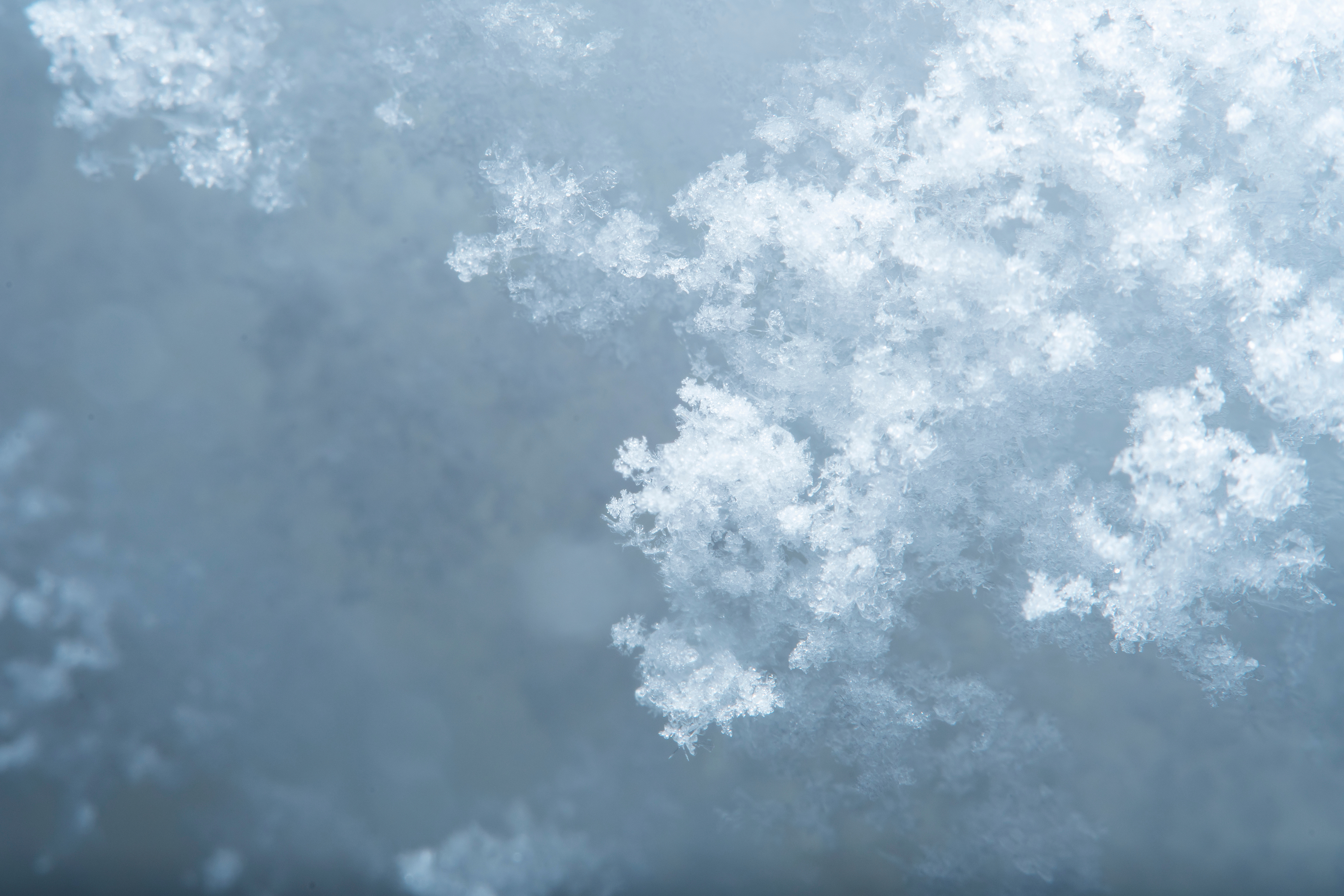 Pensions Disputes | Legal Services